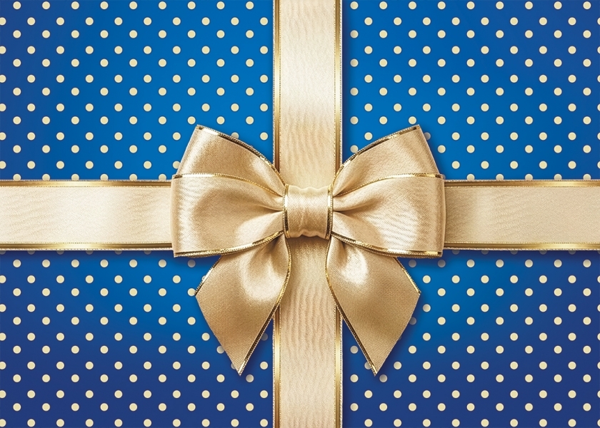 Пакет великий горизонтальний BG-35