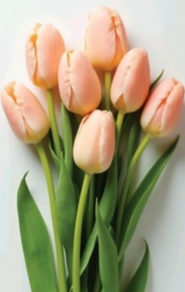 Пакет середній SV-69