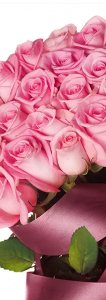 Пакет пляшковий BUT-13