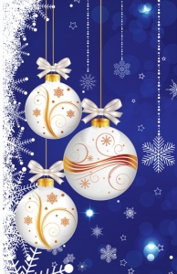 Пакет новий рік середній NGS-16